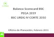 Balance Scorecard BSC PEGA 2019 BSC URDG IV CORTE 2010 Oficina de Planeación, Febrero 2011