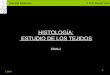 Karmelo Ikastetxea © Prof. Marian Sola 3.DBH 1 HISTOLOGÍA: ESTUDIO DE LOS TEJIDOS TEMA 2