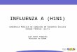 INFLUENZA A (H1N1) Audiência Pública na Comissão de Assuntos Sociais Senado Federal (12/5)