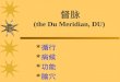 督脉 (the Du Meridian, DU)