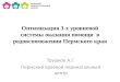 Оптимизация 3-х уровневой системы оказания помощи  в родовспоможении Пермского края