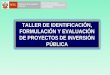 TALLER DE IDENTIFICACIÓN, FORMULACIÓN Y EVALUACIÓN DE PROYECTOS DE INVERSIÓN PÚBLICA
