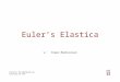 Euler’s Elastica