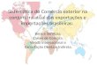 Sistemática do Comércio exterior na conjuntura atual das exportações e importações brasileiras: