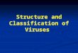 Structure and Classification of Viruses