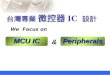 台灣專業  微控器 IC  設計
