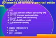 实验 11, 泌尿系统、生殖系统疾病 (Diseases of urinary,genital system)