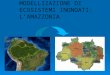 MODELLIZAZIONE DI ECOSISTEMI INONDATI: L’AMAZZONIA