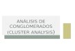 Análisis  de  Conglomerados  (Cluster Analysis )