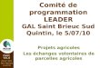 Comité de programmation LEADER GAL Saint Brieuc Sud Quintin, le 5/07/10