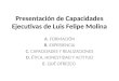 Presentación de Capacidades Ejecutivas de Luis Felipe Molina
