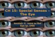 CH 15: Special Senses – The Eye