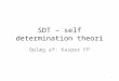 SDT –  self  determination  theori