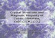 Crystal Structure and  Magnetic Property of  Cobalt Glutarate,  Co[O 2 C(CH 2 ) 3 CO 2 ]