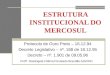 ESTRUTURA INSTITUCIONAL DO MERCOSUL