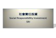 社會責任投資 Social Responsibility Investment SRI