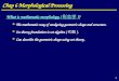 Chap 6 Morphological Processing