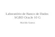 Laboratório de Banco de Dados  SGBD Oracle 10 G