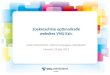 Zoekmachine optimalisatie websites VNU  Exh 
