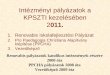 Intézményi pályázatok a KPSZTI kezelésében 2 011