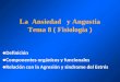 La  Ansiedad   y Angustia Tema 8 ( Fisiología )