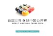 首届世界 9 球中国公开赛  WORLD NINE BALL CHINA OPEN