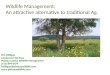 Tim Milligan Landowner Services  Plateau Land & Wildlife Management (512) 894-3479