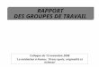 RAPPORT DES GROUPES DE TRAVAIL