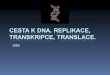 Cesta k DNA. Replikace, transkripce, translace