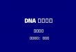 DNA 重组技术 第十四讲 主讲教师：刘湘帆