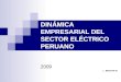 DINÁMICA EMPRESARIAL DEL SECTOR ELÉCTRICO PERUANO