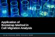 Application of Bootstrap Method in  Cell Migration Analysis