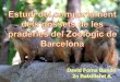 Estudi  del  comportament dels gossets  de les  praderies  del  Zoològic  de Barcelona