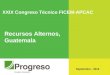 XXIX Congreso Técnico FICEM-APCAC