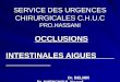 SERVICE DES URGENCES CHIRURGICALES C.H.U.C  PRO.HASSANI