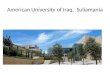 American University of Iraq,   Suliamania