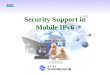 Security Support in Mobile IPv6
