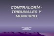 CONTRALORÌA-TRIBUNALES Y MUNICIPIO