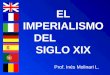 EL IMPERIALISMO DEL             SIGLO XIX