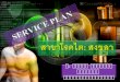 Service  Plan