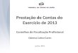 Prestação de Contas do  Exercício de 2013 Conselhos de Fiscalização Profissional