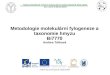 Metodologie molekulární fylogeneze a taxonomie hmyzu Bi7770 Andrea T óthová
