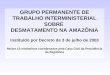 GRUPO PERMANENTE DE TRABALHO INTERMINISTERIAL SOBRE  DESMATAMENTO NA AMAZÔNIA
