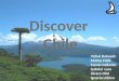 Discover Chile