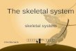 The skeletal system skeletal system 临床医学一系 09 级八班一组