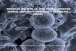 Infecção hospitalar  por  Staphylococcus aureus   com  resistentência  à  meticilina   (MRSA)