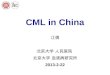 CML in China