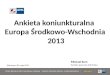 Ankieta koniunkturalna  Europa rodkowo-Wschodnia  2013