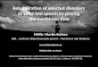 Rehabilitation of selected disorders of voice and speach  by  playing the overblown flute