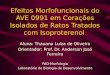 Efeitos Morfofuncionais do AVE 0991 em Corações Isolados de Ratos Tratados com Isoproterenol